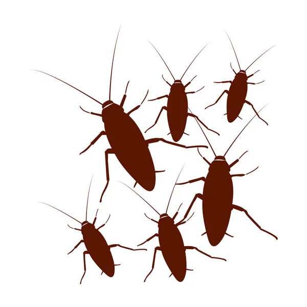 Icono Cucaracha Vector Ilustración Símbolo Diseño — Vector de stock