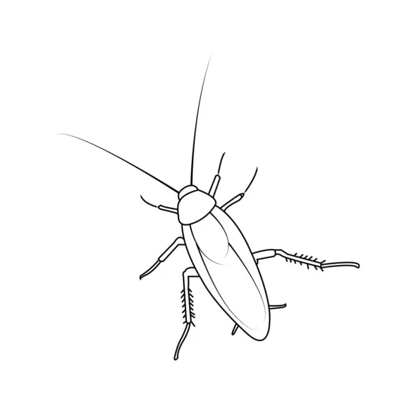Icono Cucaracha Vector Ilustración Símbolo Diseño — Archivo Imágenes Vectoriales