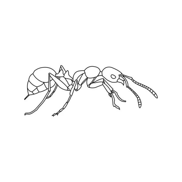 Ant Icône Signe Vectoriel Symbole Illustration Vectorielle — Image vectorielle