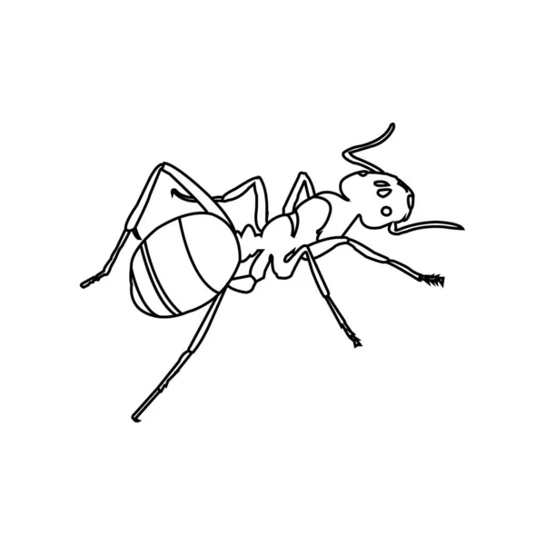 Ameisensymbol Zeichen Vektor Symbol Vektorillustration — Stockvektor