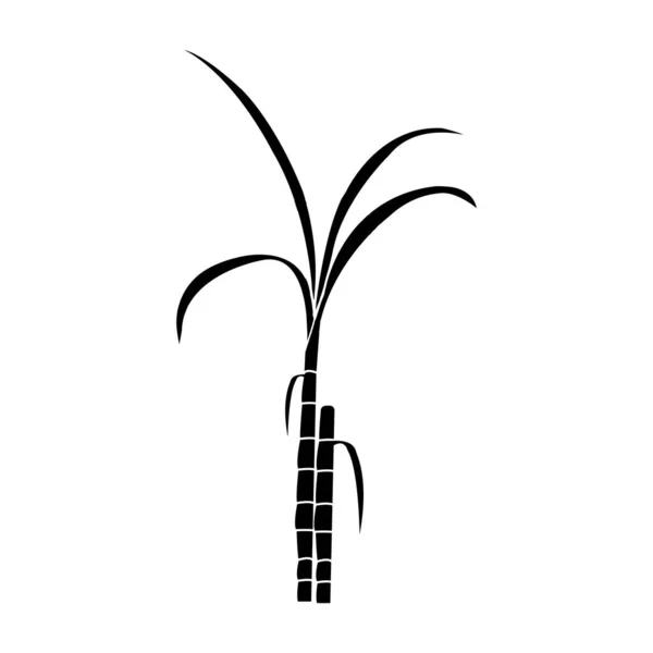 Şeker Kamışı Ikonu Vektör Llüstrasyon Tasarım Logosu Şablonu — Stok Vektör
