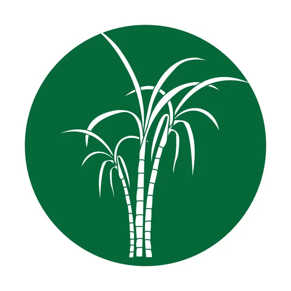 Icône Canne Sucre Vectoriel Illustration Design Logo Modèle — Image vectorielle