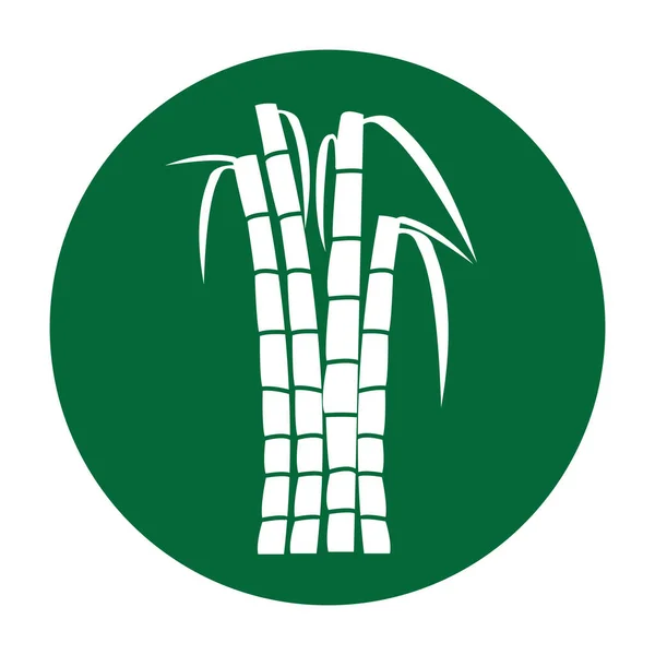 Icono Caña Azúcar Vector Diseño Ilustración Logo Plantilla — Vector de stock