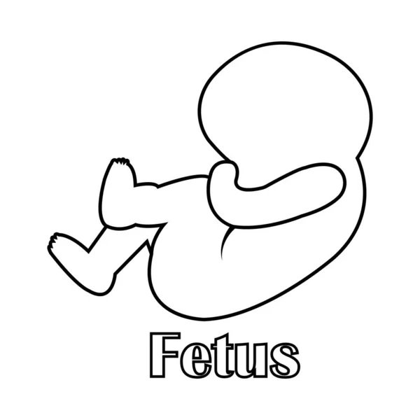 胎儿图标矢量图解简单设计 — 图库矢量图片
