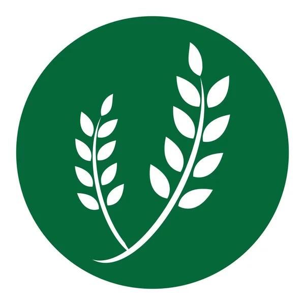 Logo Grano Agricolo Modello Icona Vettoriale Disegno Illustrazione — Vettoriale Stock