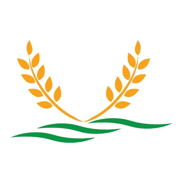 Tarım Buğday Logosu Vektör Ikonu Tasarımı Illüstrasyonu — Stok Vektör