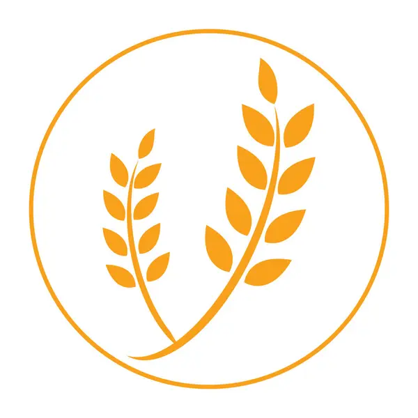 Logo Grano Agricolo Modello Icona Vettoriale Disegno Illustrazione — Vettoriale Stock