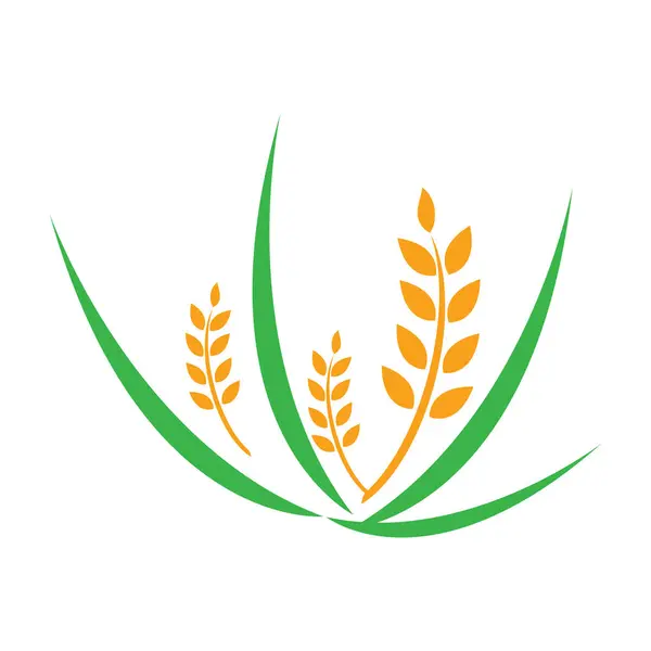 Agricultura Trigo Logo Plantilla Vector Icono Diseño Ilustración — Archivo Imágenes Vectoriales