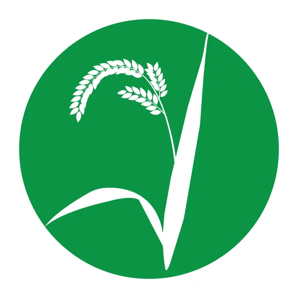 Desenho Símbolo Ilustração Vetor Ícone Agricultura Arroz — Vetor de Stock
