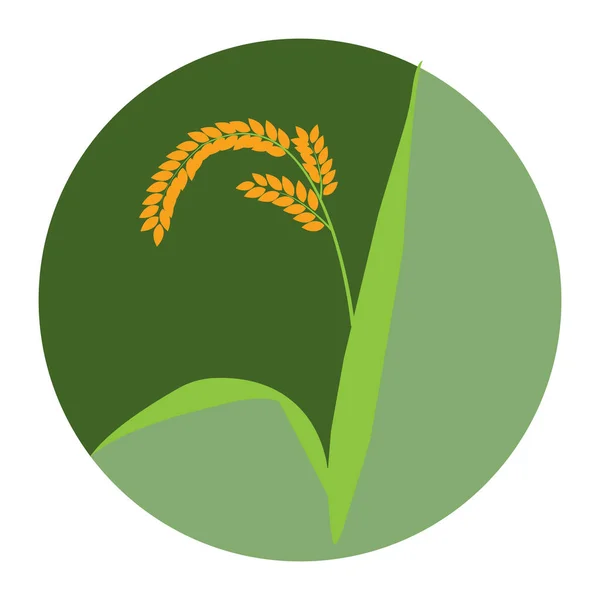 Rice Farming Icon Vector Illustration Symbol Design — Stock Vector
