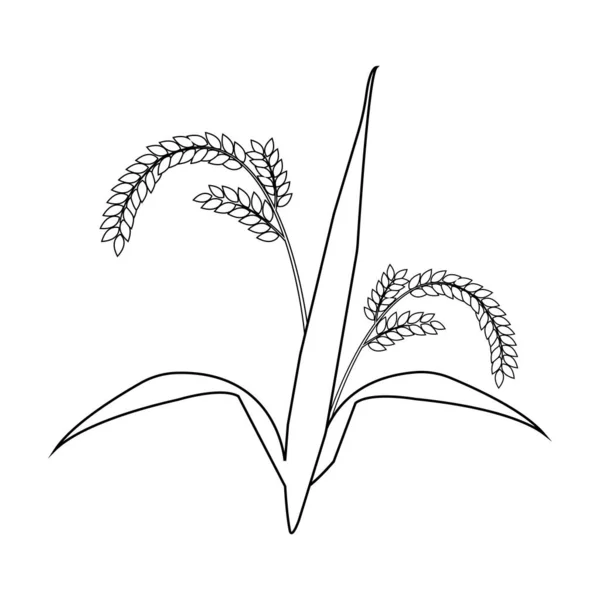 Рисове Господарство Значок Векторна Ілюстрація Символ Дизайн — стоковий вектор