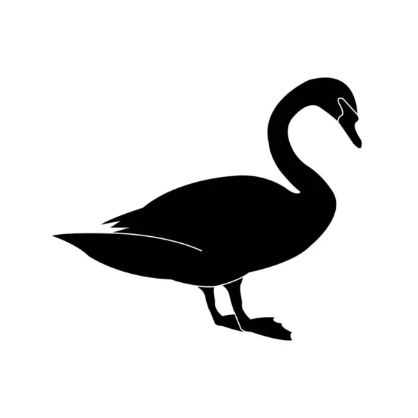 Gambar Gambar Vektor Ikon Swan Desain Simbol - Stok Vektor