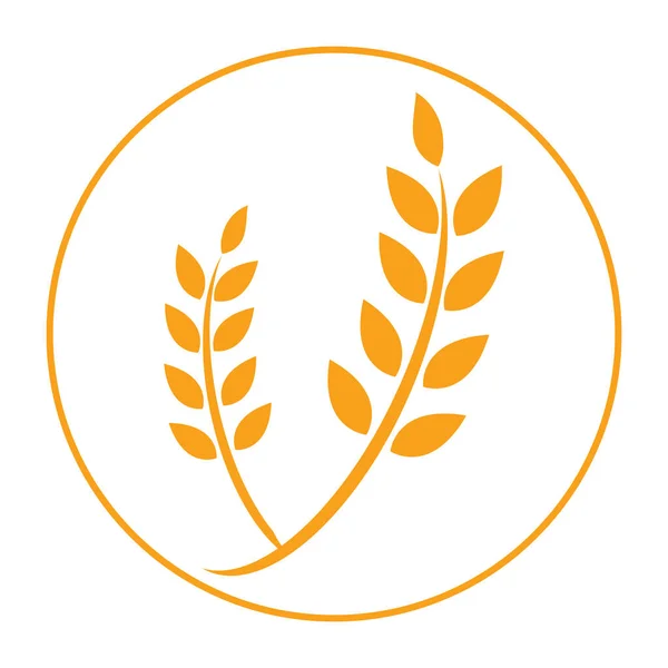 Tarım Buğday Logosu Vektör Ikonu Tasarımı Illüstrasyonu Telifsiz Stok Illüstrasyonlar