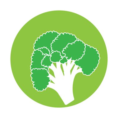 brokoli simgesi vektör çizim şablonu tasarımı