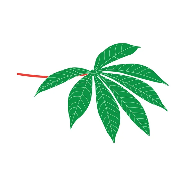 Σχεδιασμός Διανυσματικού Συμβόλου Εικονιδίων Φύλλων Cassava — Διανυσματικό Αρχείο