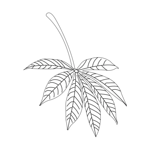 Cassava Yaprağı Ikon Vektör Sembolü Tasarımı — Stok Vektör