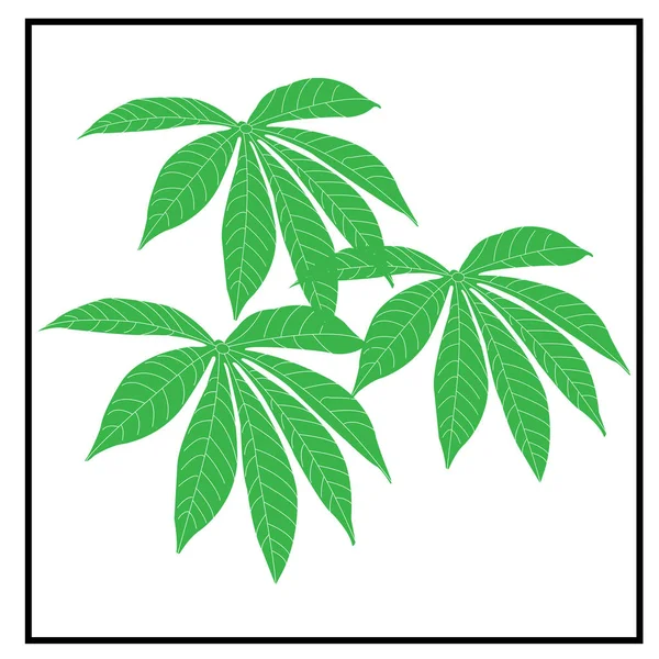 Cassava Blatt Symbol Vektor Symbol Design — Stockvektor