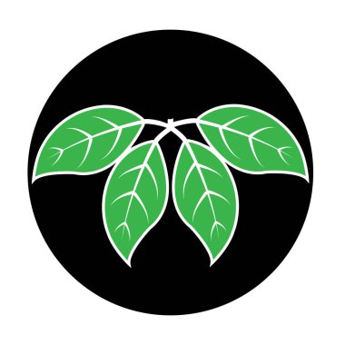 Yaprak ikonu vektör illüstrasyon tasarımı