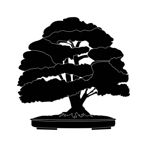 Illustration Vectorielle Icône Bonsai — Image vectorielle
