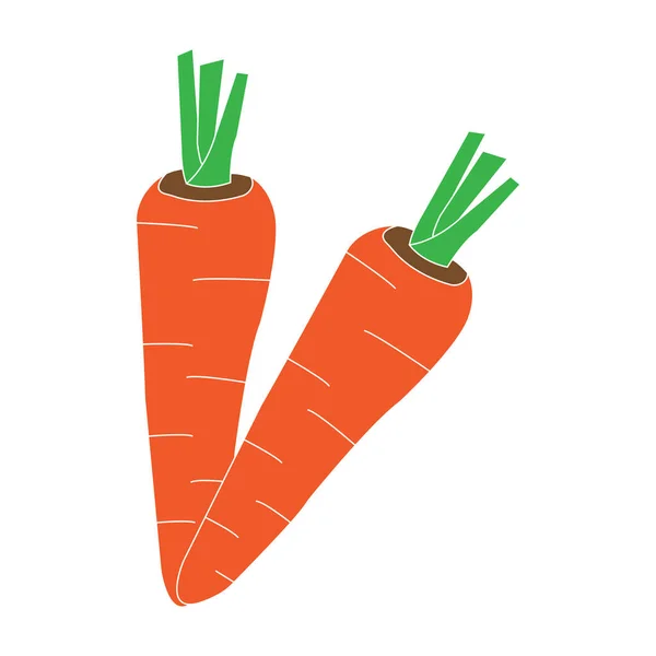 Дизайн Векторной Иллюстрации Моркови — стоковый вектор