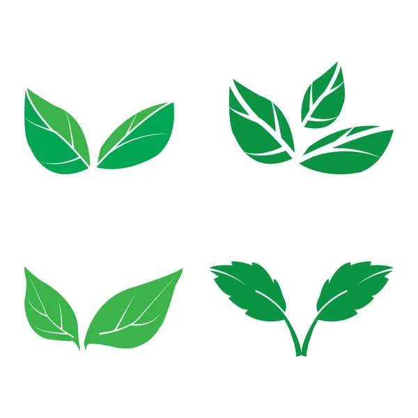 Leaf Icon Vector Illustration Symbol Design — 图库矢量图片
