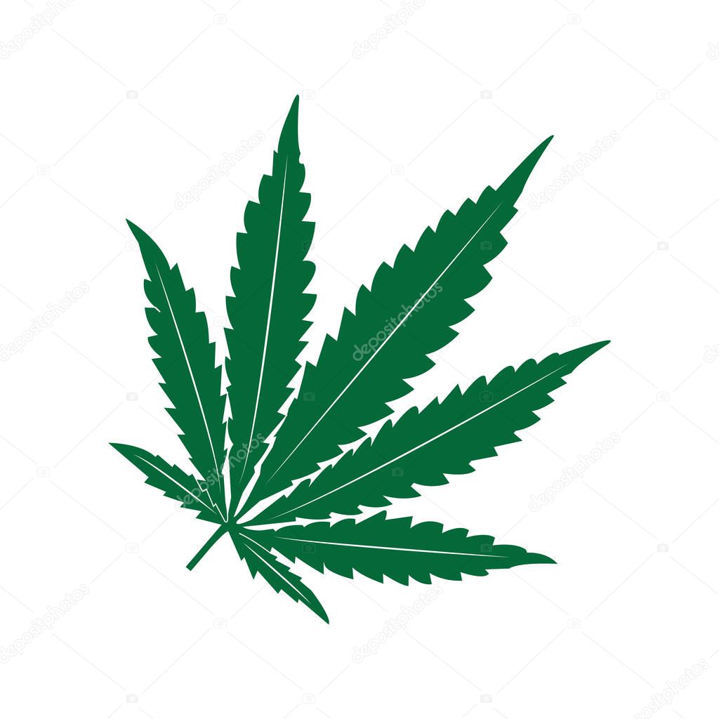 Marijuana leaf icon vector illustration simple design