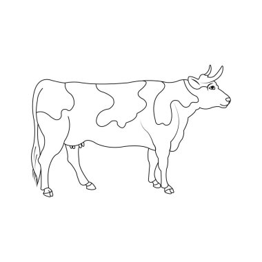 İnek simgesi vektör illüstrasyonu basit tasarım