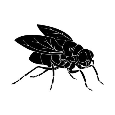 sinek ikonu vektör illüstrasyon sembolü tasarımı