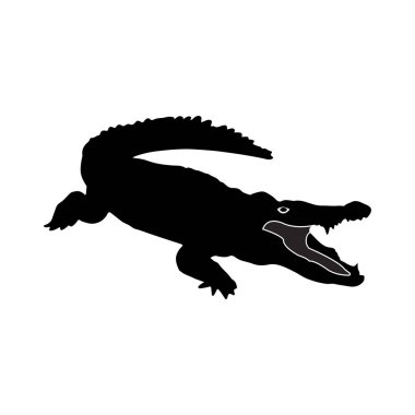 Timsah simgesi vektör çizimi tasarımı