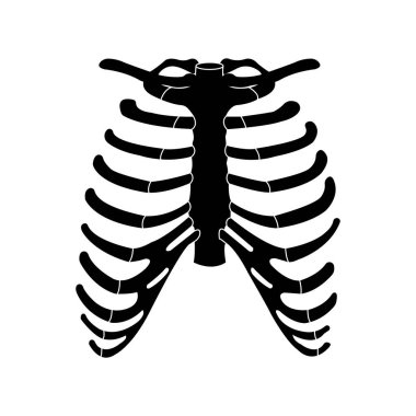 İnsan kaburga simgesi vektör çizimi .