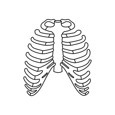 İnsan kaburga simgesi vektör çizimi .