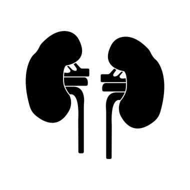 Böbrek simgesi vektör illüstrasyon tasarımı