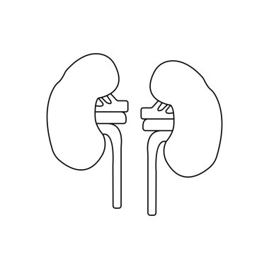 Böbrek simgesi vektör illüstrasyon tasarımı