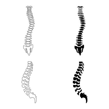 Omurga simgesi, vektör illüstrasyon logo şablonu