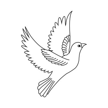 uçan güvercin simgesi vektör gösterim sembolü tasarımı