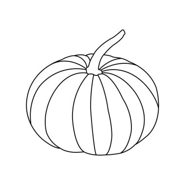 kabak meyvesi ikonu vektör çizimi tasarımı