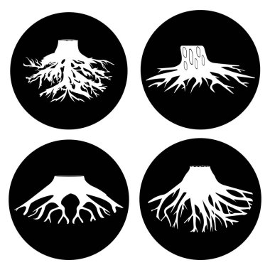 ağaç kökü ikonu vektör illüstrasyon sembolü tasarımı