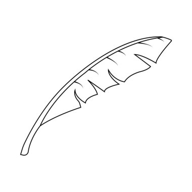 muz yaprağı tasarımı vektör illüstrasyonu