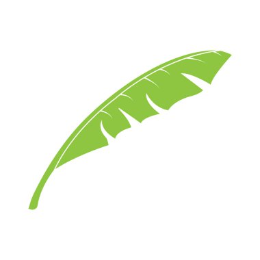 muz yaprağı tasarımı vektör illüstrasyonu