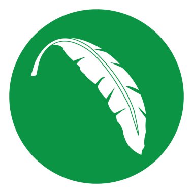 muz yaprağı tasarımı vektör illüstrasyonu