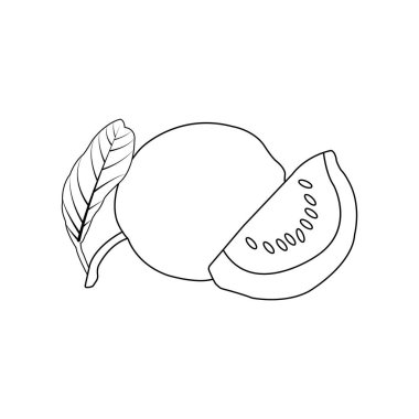 Guava simge vektör illüstrasyonu basit tasarım