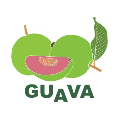 Guava simge vektör illüstrasyonu basit tasarım
