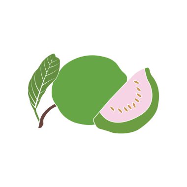 Guava simge vektör illüstrasyonu basit tasarım