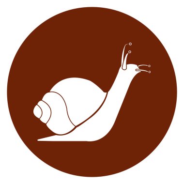 snail icon vector illustration symbol design