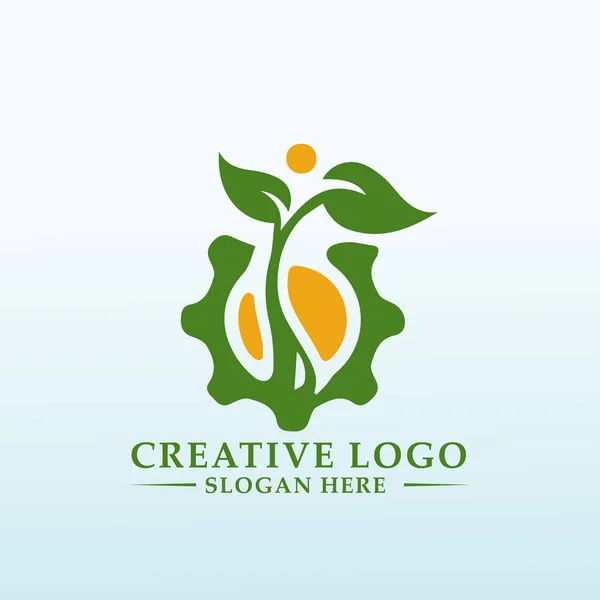 Logo Costiero Della Contabilità Della Gestione Patrimoniale — Vettoriale Stock