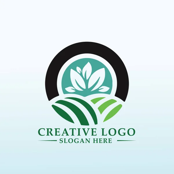 Logotipo Adequado Para Uma Produção Vegetal Biológica Inovadora —  Vetores de Stock