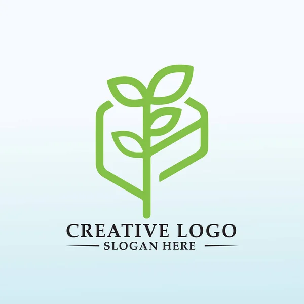 Logotipo Fresco Para Reducir Los Productos Químicos Sus Alimentos — Archivo Imágenes Vectoriales