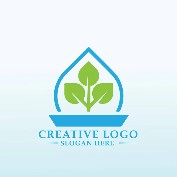 Concevoir Logo Premium Pour Société Plant Saucer — Image vectorielle