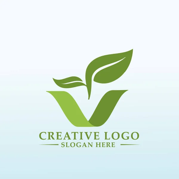 Aparência Natural Pessoal Logotipo Vegetal Sustentável — Vetor de Stock