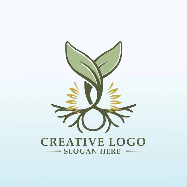 Agriculture Entreprise Liée Logo Conception Soleil — Image vectorielle